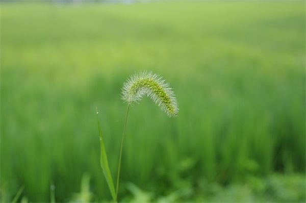 情人节写给老公的话81句