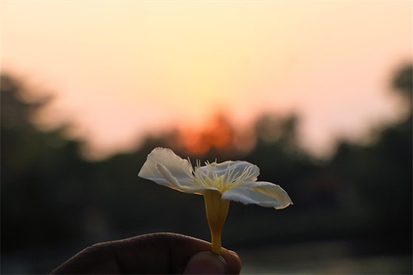 写给爱人的话81句