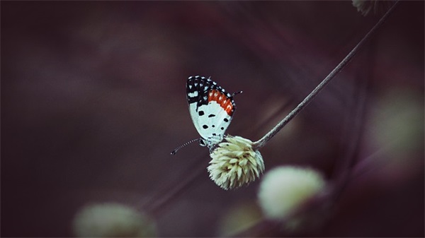 2025年十月一国庆节祝福祖国的话