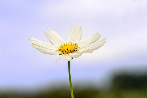 挽留男朋友的话81句