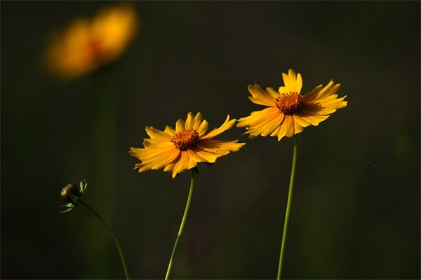 六年级三好学生家长寄语 【六年级三好学生家长寄语怎么写】