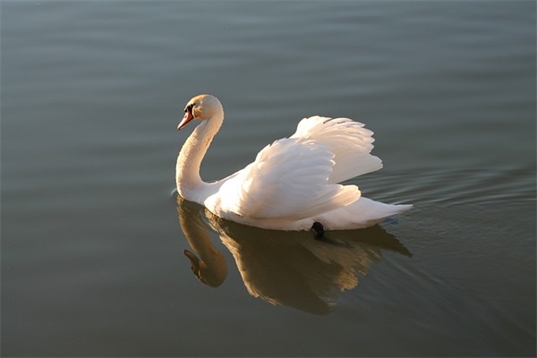 512寄语 【100句精选】