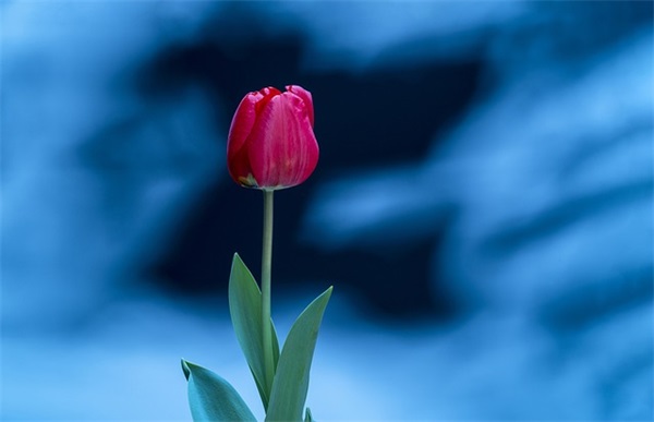 范本:小学家长寄语 【小学家长的寄语简短内容】