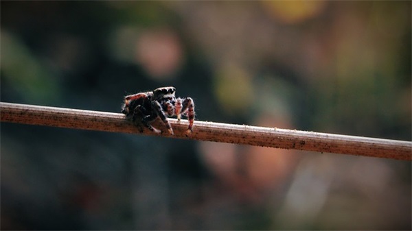 舞蹈老师对学生寄语 【舞蹈老师对学生说的暖心话】
