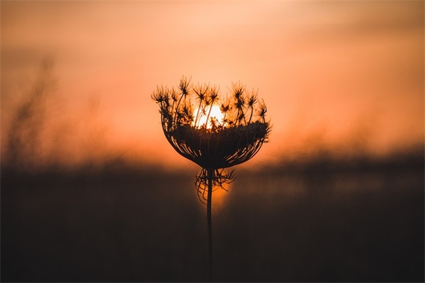 孩子挑食家长的寄语 【孩子挑食怎么说】