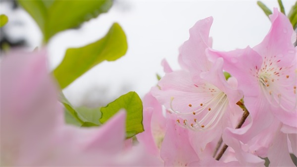 老师对班级的寄语 【老师对班级的寄语和鼓励】