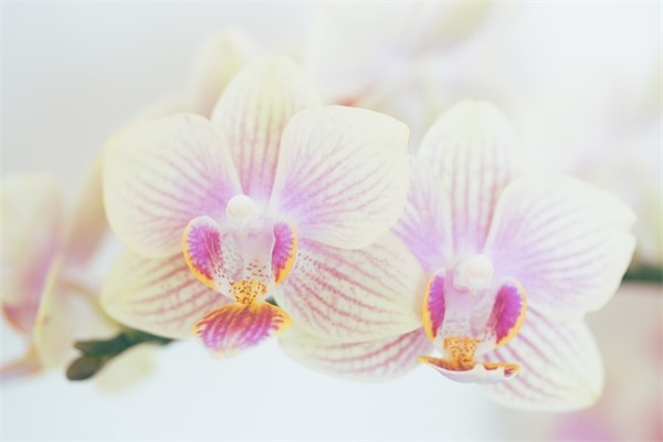 幼儿园毕业了对老师的寄语 【幼儿园毕业了对老师的寄语怎么写】