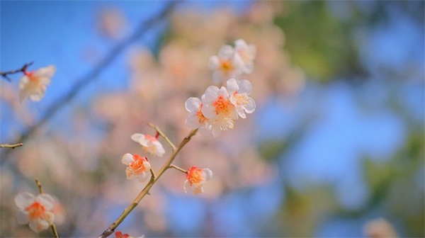 小学一年级期末家长寄语简短-52句