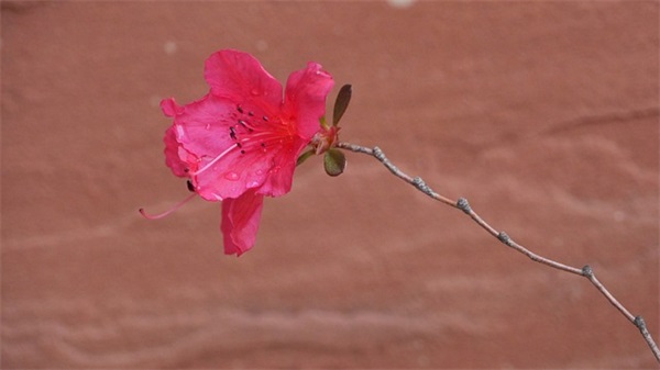 从新开始励志的句子