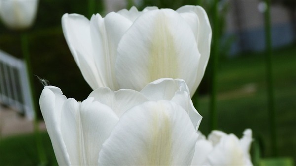 抖音上最火的心酸句子 抖音最火的霸气句子