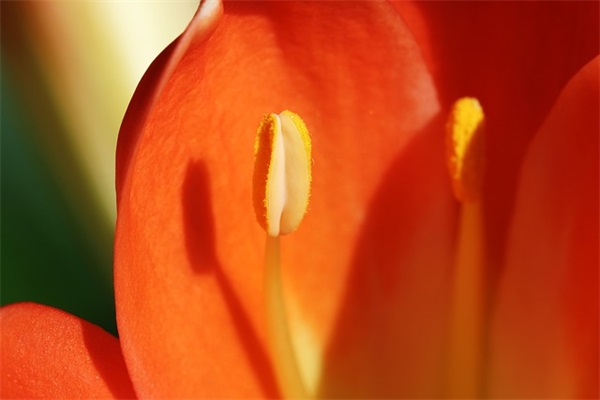 容易上热门的封面句子伤感