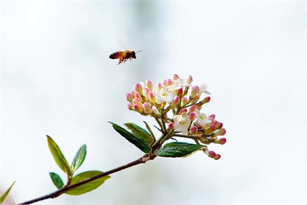 霸气超拽的文案句子(霸气激励人心的文案句子)