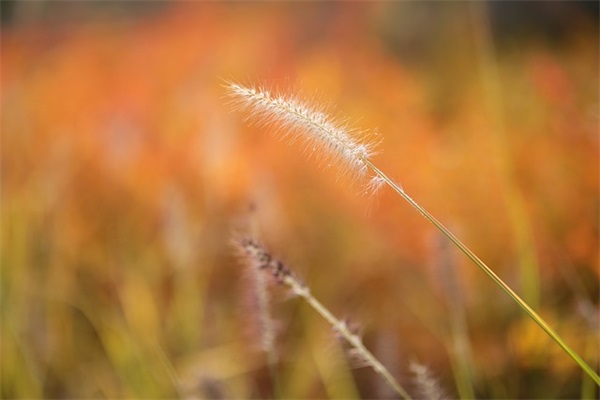 感谢老公的陪伴句子 老公陪伴的句子