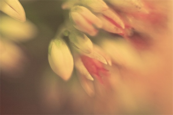 表达“大病初愈”的文言文句子有哪些？