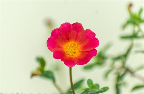 失眠句子 失眠句子简短